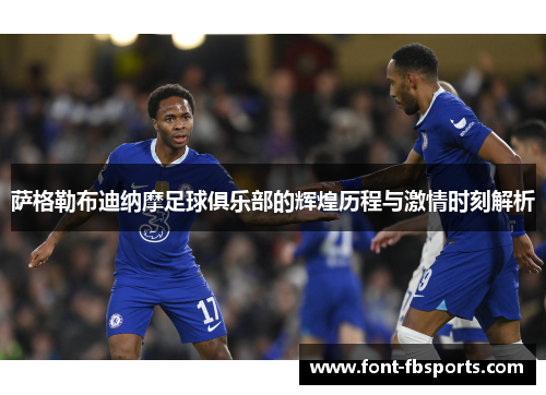 萨格勒布迪纳摩足球俱乐部的辉煌历程与激情时刻解析 萨格勒布迪纳摩足球俱乐部的辉煌历程与激情时刻解析