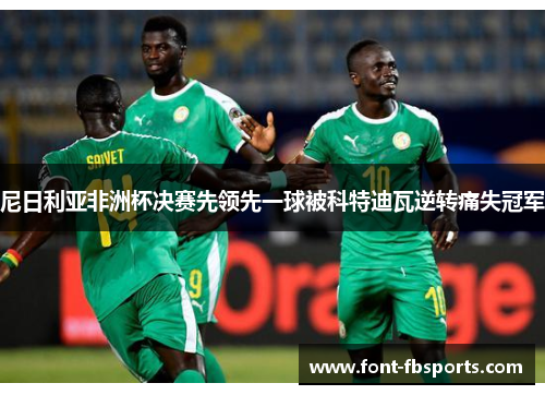 尼日利亚非洲杯决赛先领先一球被科特迪瓦逆转痛失冠军 尼日利亚非洲杯决赛先领先一球被科特迪瓦逆转痛失冠军