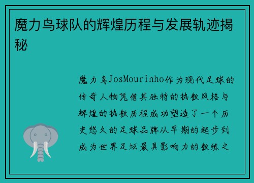 魔力鸟球队的辉煌历程与发展轨迹揭秘 魔力鸟球队的辉煌历程与发展轨迹揭秘